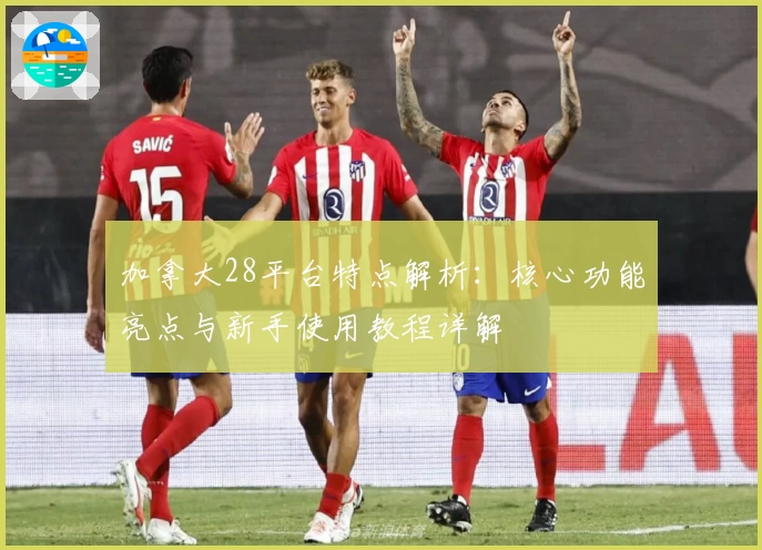 加拿大28平台特点解析：核心功能亮点与新手使用教程详解