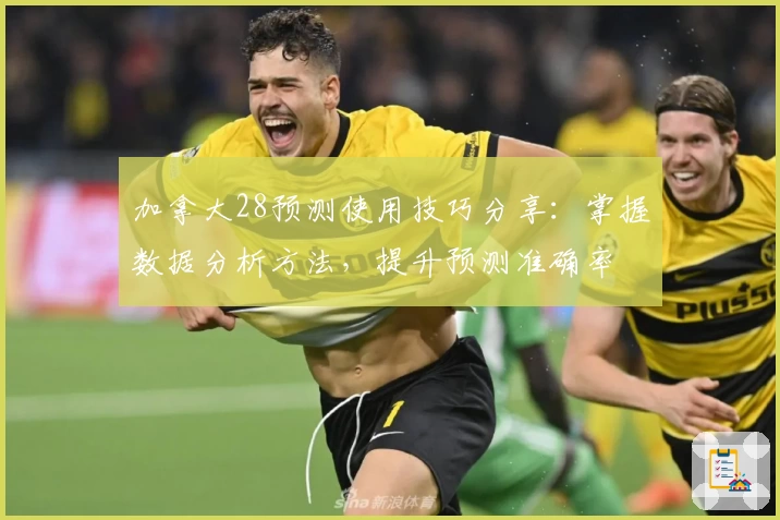 加拿大28预测使用技巧分享：掌握数据分析方法，提升预测准确率