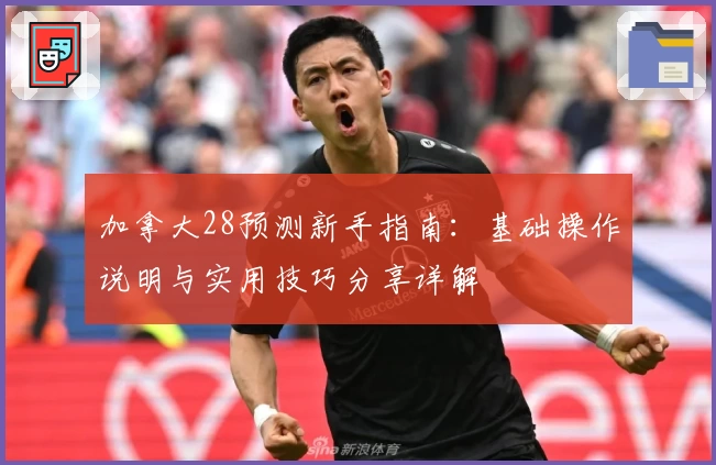 加拿大28预测新手指南：基础操作说明与实用技巧分享详解