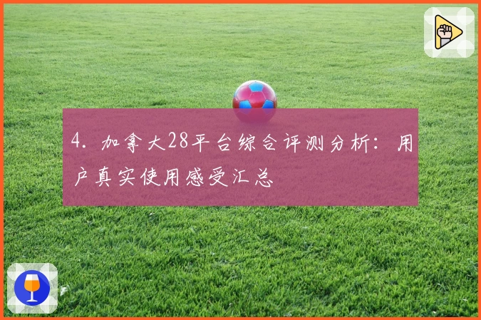 4. 加拿大28平台综合评测分析：用户真实使用感受汇总