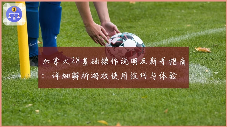 加拿大28基础操作说明及新手指南：详细解析游戏使用技巧与体验