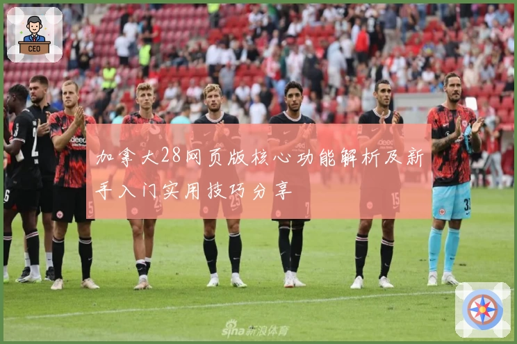 加拿大28网页版核心功能解析及新手入门实用技巧分享