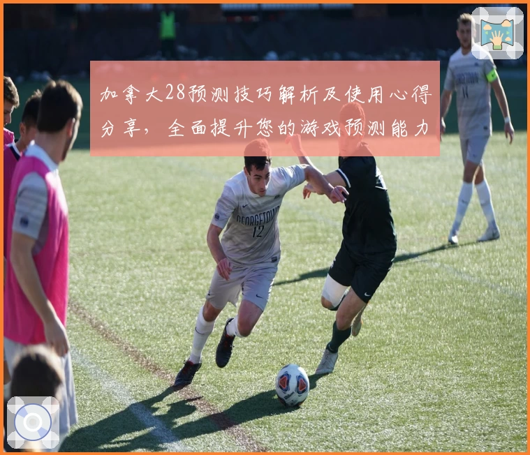 加拿大28预测技巧解析及使用心得分享，全面提升您的游戏预测能力
