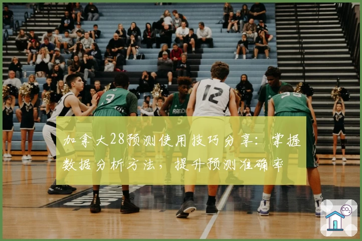 加拿大28预测使用技巧分享：掌握数据分析方法，提升预测准确率