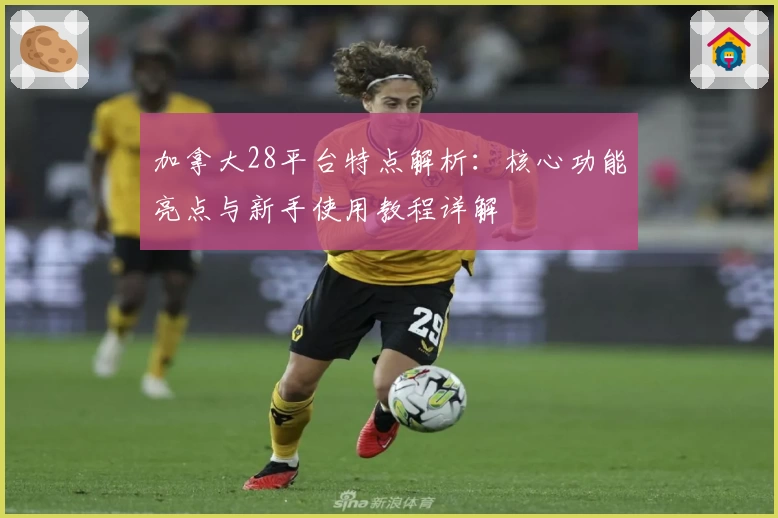 加拿大28平台特点解析：核心功能亮点与新手使用教程详解