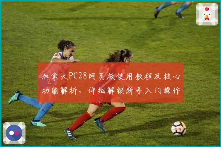 加拿大PC28网页版使用教程及核心功能解析，详细解锁新手入门操作经验