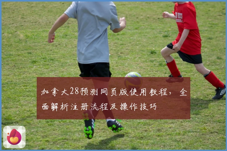 加拿大28预测网页版使用教程，全面解析注册流程及操作技巧