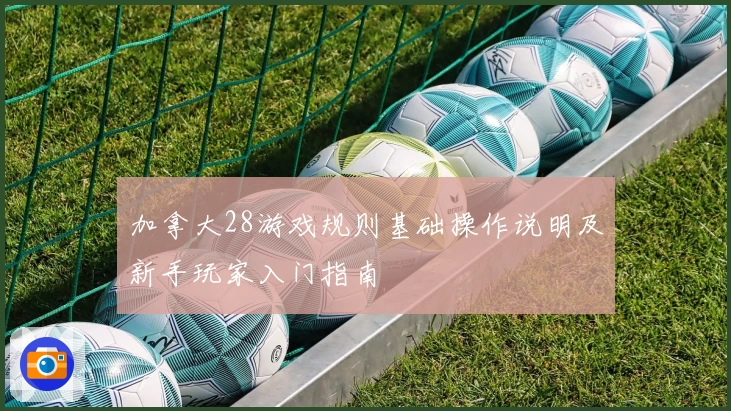 加拿大28游戏规则基础操作说明及新手玩家入门指南