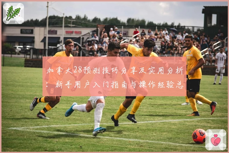 加拿大28预测技巧分享及实用分析：新手用户入门指南与操作经验总结